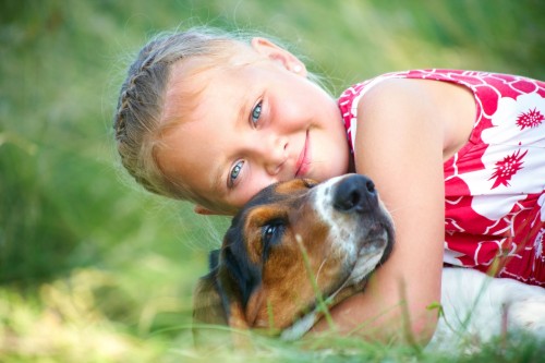 Safe for Kids and Pets GrassBGreen is a green grass dye that turns your grass green.