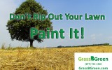 Paint Your Lawn