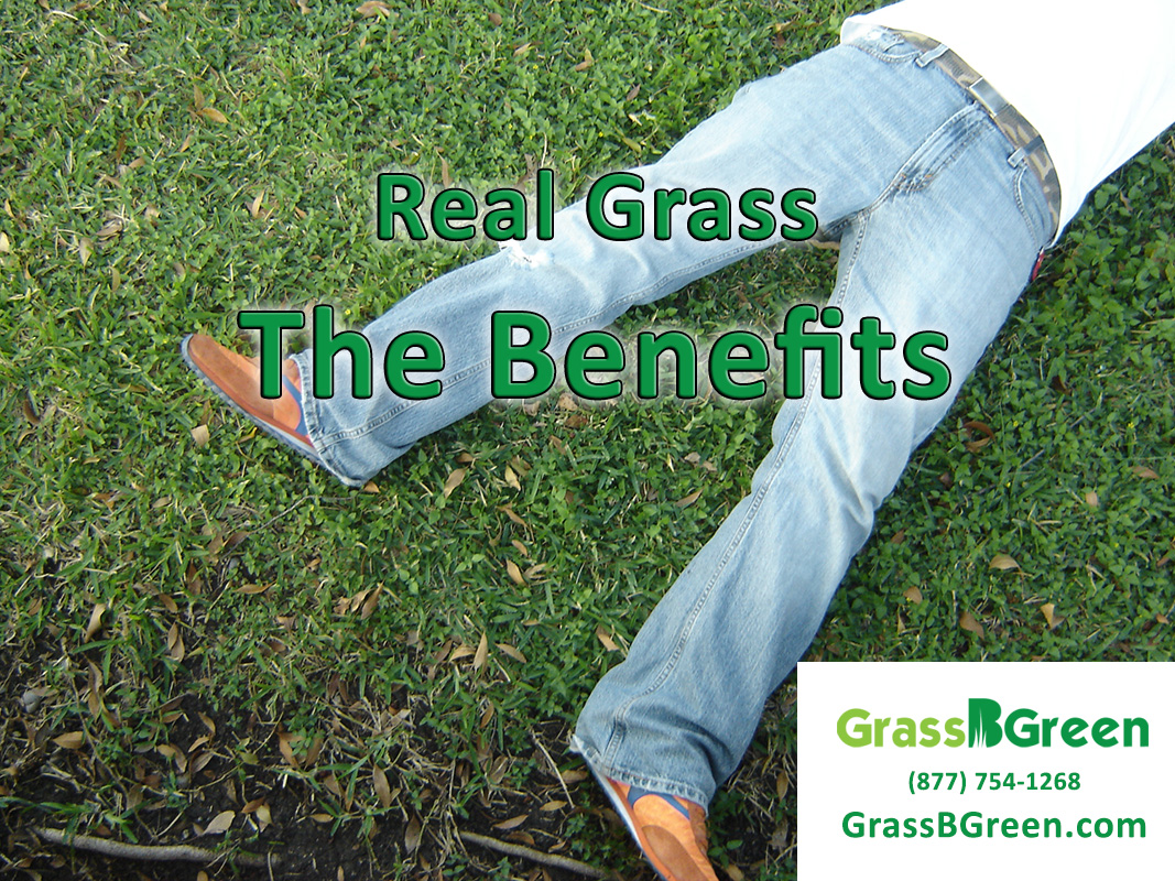 Real Grass The Benefits